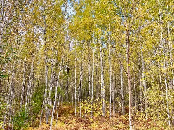 11 Mountain Trl, Grand Marais, MN 55604