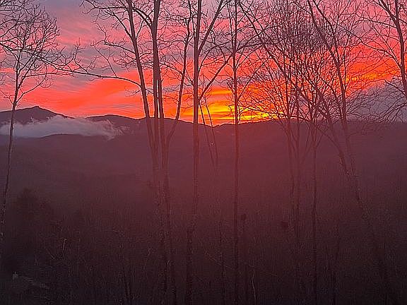 5th image of 817 New Homestead Dr