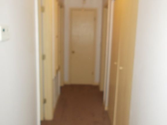5th image of 6806 Playfield Dr