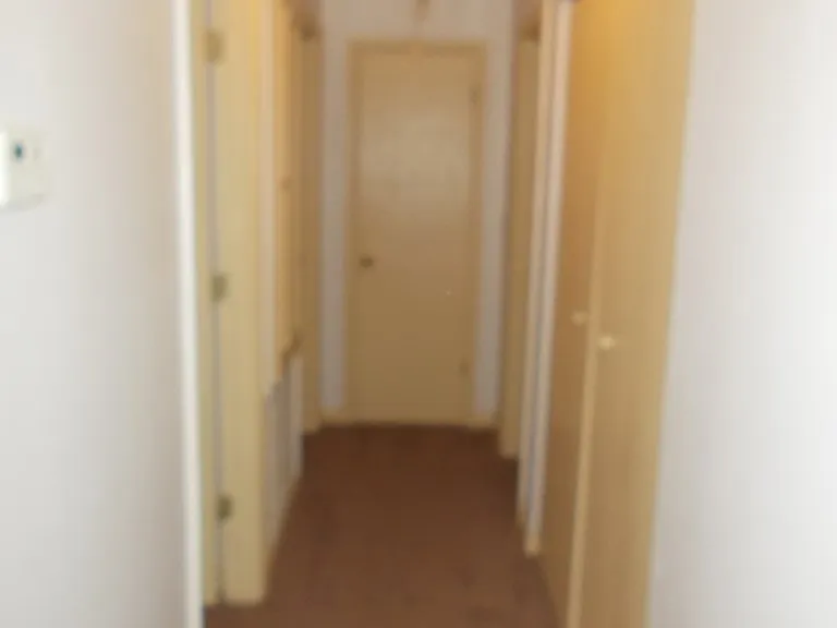 6806 Playfield Dr — Photo 5