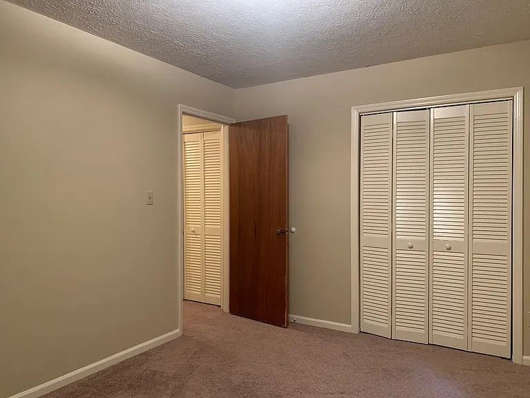 217 Bear Creek Rd — Photo 14