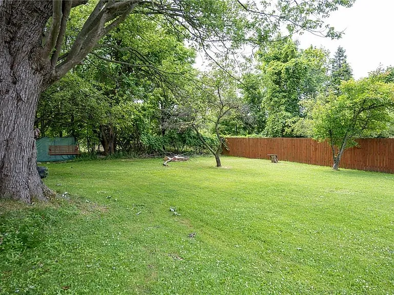 Back yard