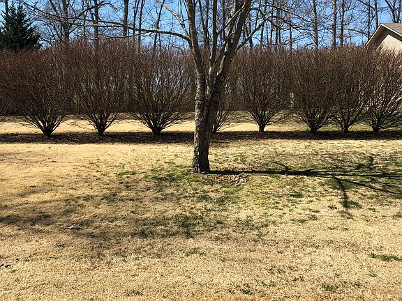 2nd image of 1521 War Eagle Dr