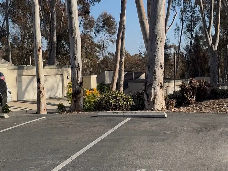 Caminito Covewood — Photo 16
