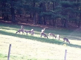 10960 Cumberland Gap Rd, New Castle, VA 24127