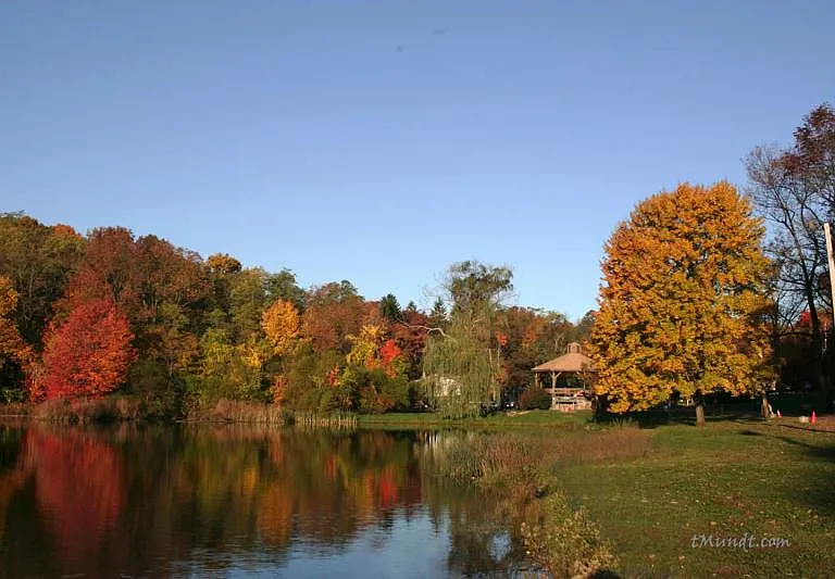 Nearby Park