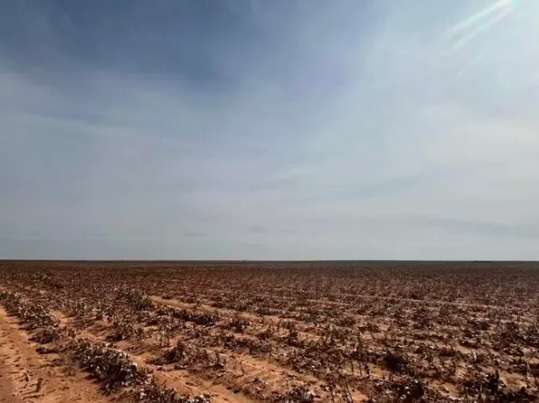 1698 Farms, Brownfield, TX 79316