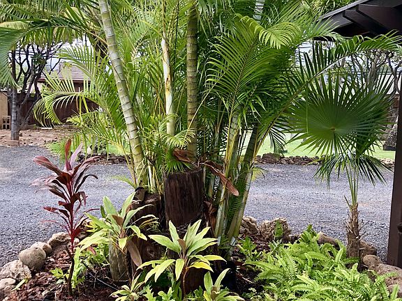 Private yard area