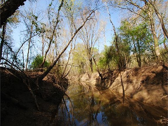2nd image of 12990 County Road 1313