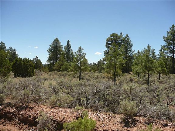 5th image of LOT 4 E Elk Dr