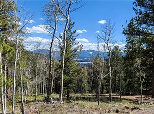 2489 Coyote Cir #6, Black Hawk, CO 80422