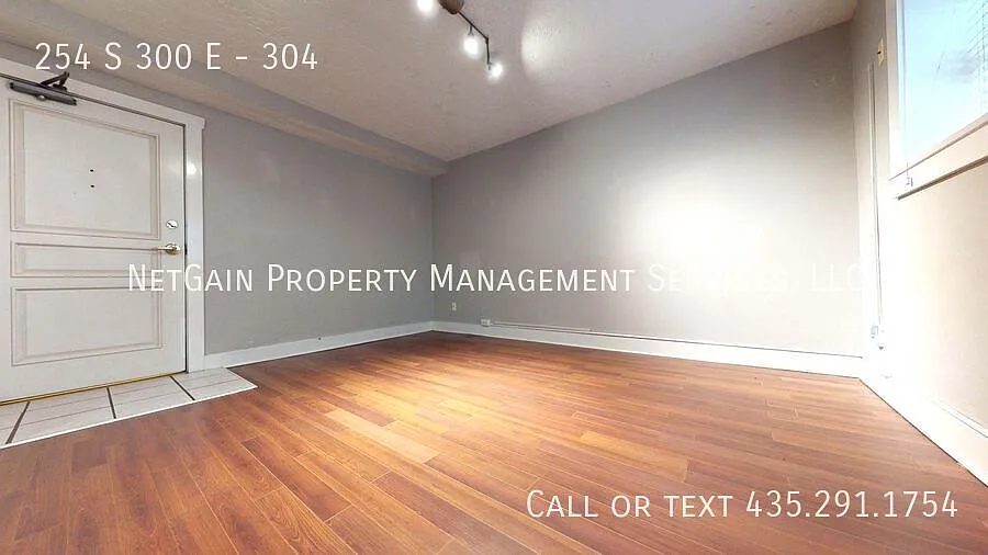 Downtown Adjacent 1BR Apartment Move-In Ready — Photo 4