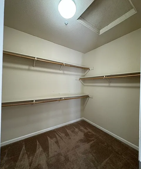 110 Primrose Ln — Photo 12