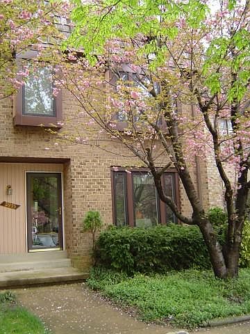 1st image of 2975 Borge St