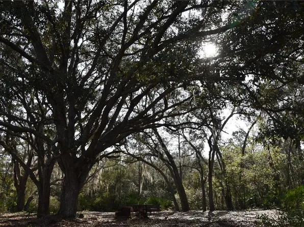 81 Clouds Ave, Interlachen, FL 32148