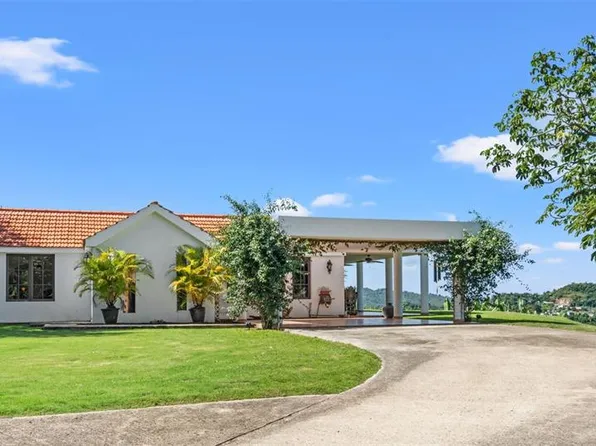 Carr 3351 Km 4.1 Camino El Italiano, Mayaguez, PR 00680