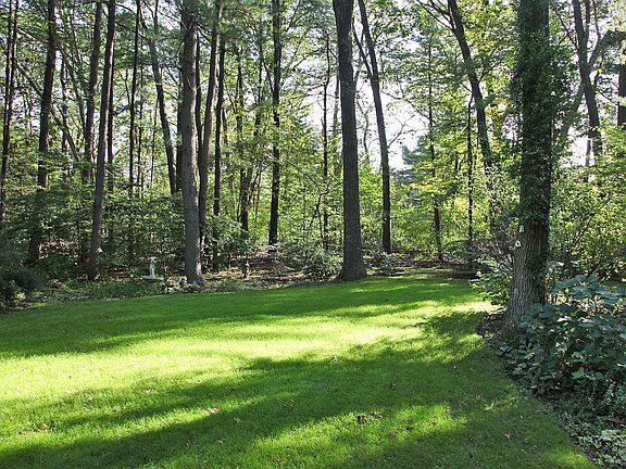 back lawn
