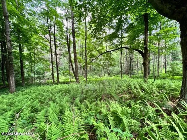 Lot 2 McGregor Road Lot 2, Gloversville, NY 12078