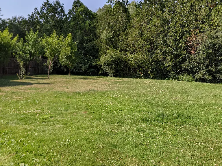 6236 State Route 233 — Photo 18