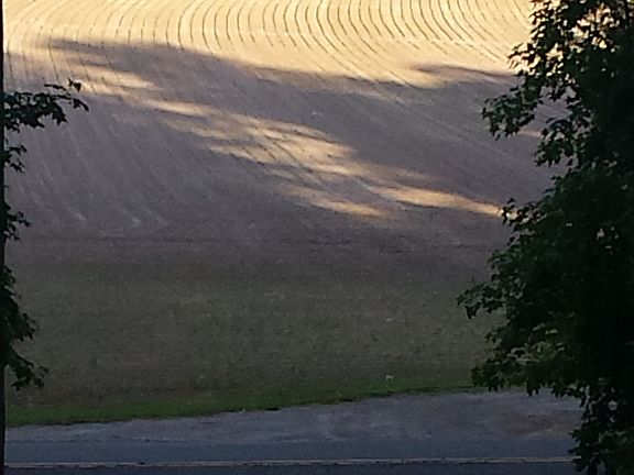 View from front yard 