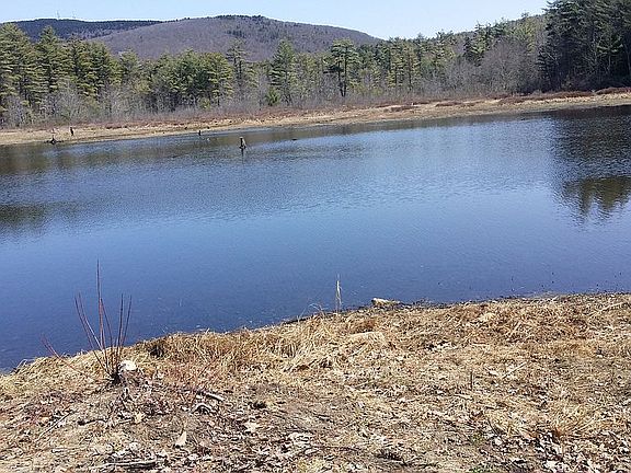 Winter good for ice skating 