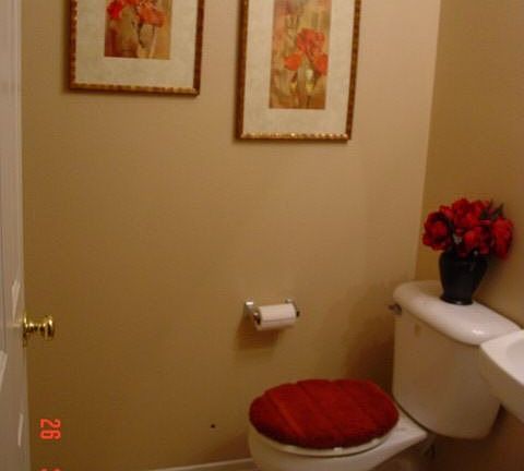 Downstairs 1/2 Bath