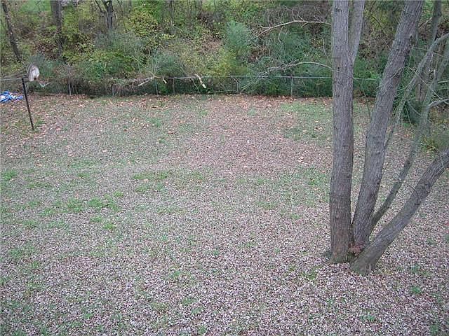2nd image of 434 Tampa Dr