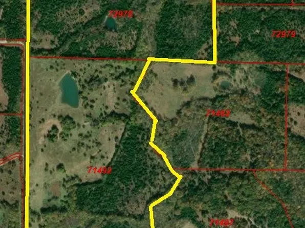 County Road 3045, Dodd City, TX 75438