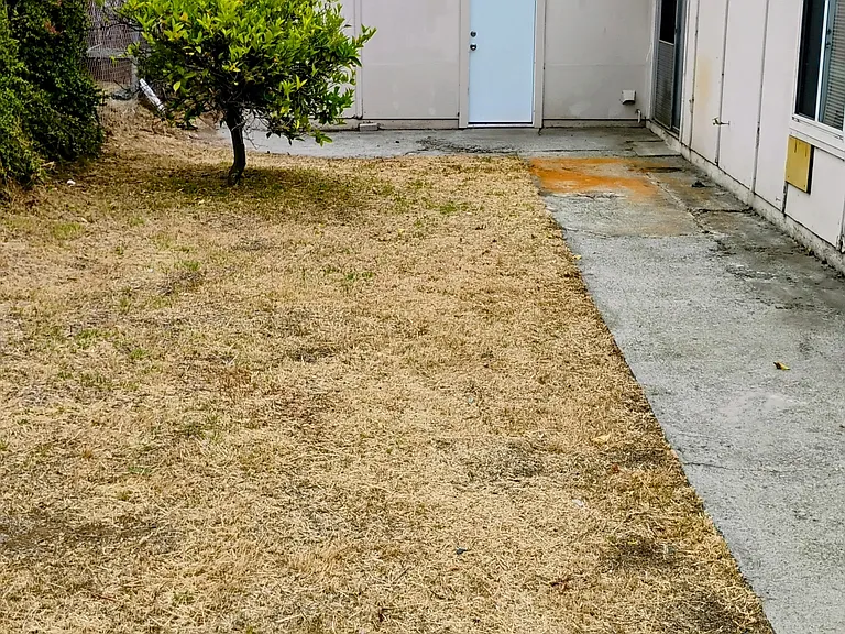 Side yard facing garage