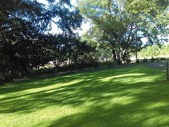 Cypress border lush yard.