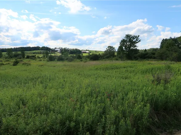 LOT 2 German Rd Lot 2, Willet, NY 13863