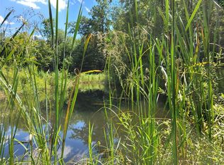 196 Lathrop Rd, Candor, NY 13743