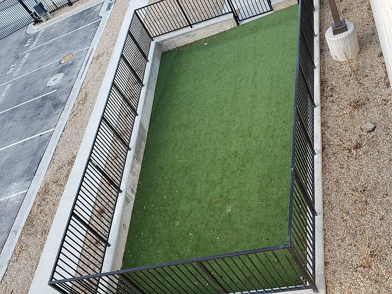 Dog Park