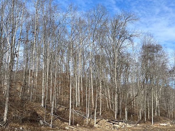 3rd image of 3718 Barnetts Creek Rd