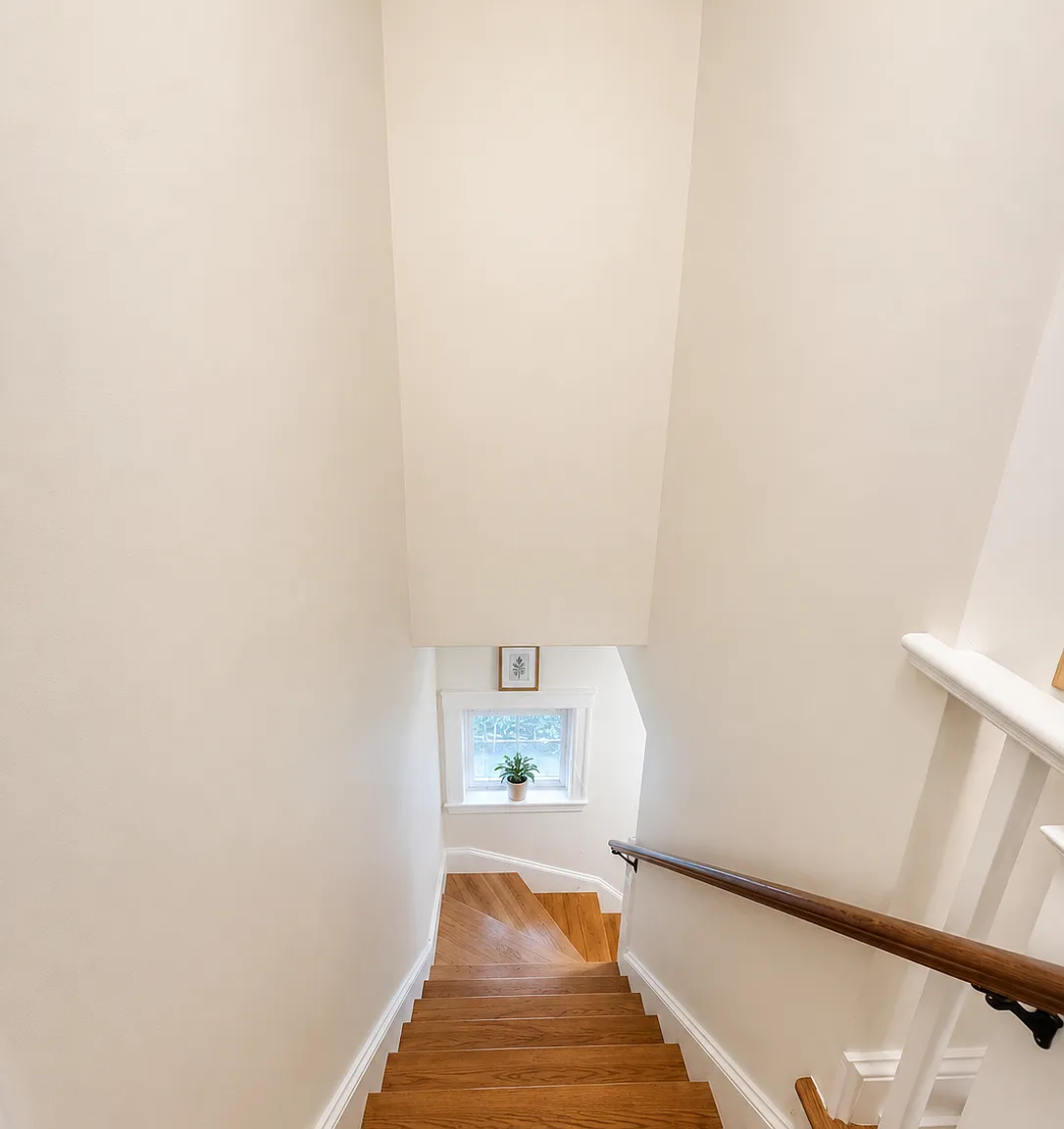 24 Jamaica Rd — Photo 3