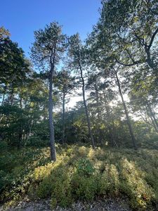 30 Sam Hollow Rd, Wellfleet, MA, 02667
