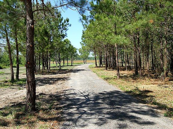 Drive Looking at Street