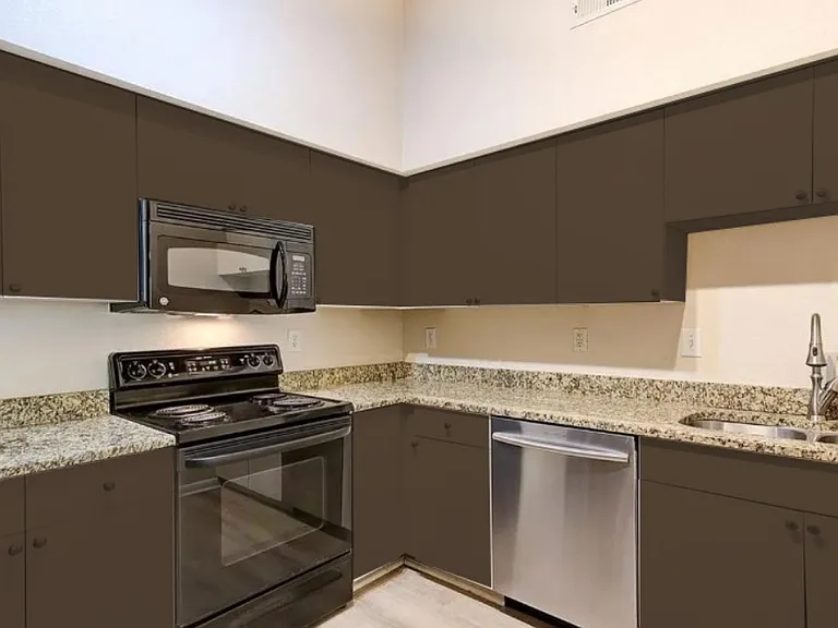 2331 W Horatio St #816 — Photo 4