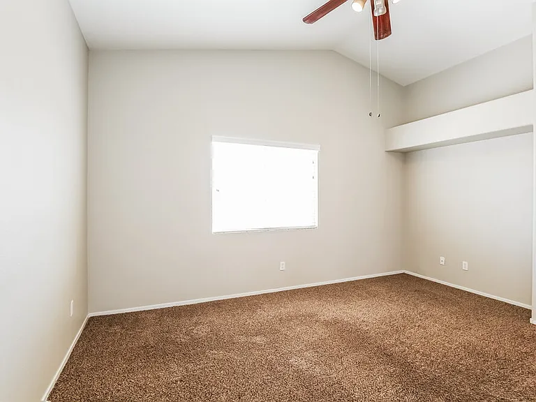 4455 Scarlet Sea Ave — Photo 11
