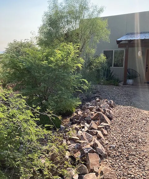 Mature landscaping ( this photo is about 6 years old) creates natural privacy between homes