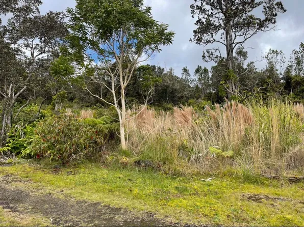 11-3845 Nahelenani St #A, Volcano, HI 96785