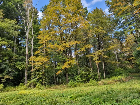 LOT 2 State Highway 41, Richmond, MA 01254