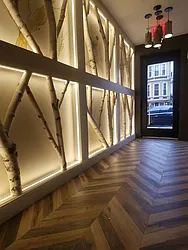 Rented by Evergreen Apartments BK