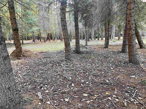 2nd image of Nna Cougar Rd