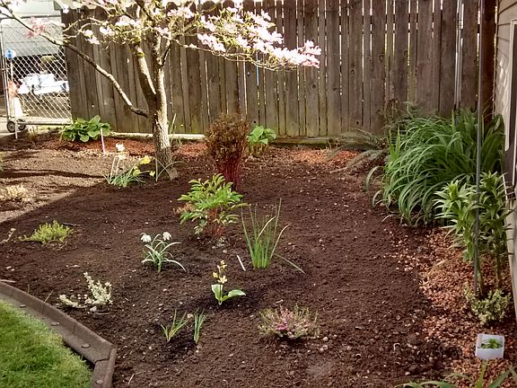 garden area