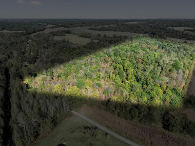 0 Little Zion Tilden Rd, Dixon, KY, 42409