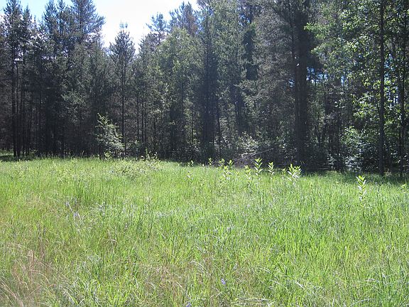 Cleared building space.