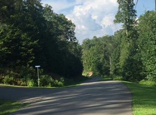 LT28 Little Sugar Crk, Blue Ridge, GA 30513