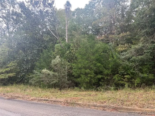 0 Kanrai Ln, Andalusia, AL 36421