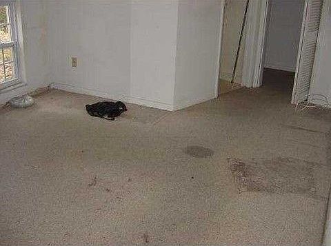 5th image of 1032 Spanish Oaks Blvd